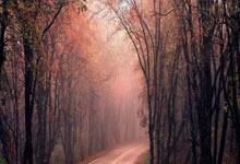 YABO-凯恩重返赛场，爆冷首场状态出色，尤文图斯观众沸腾！比赛高潮迭起的简单介绍